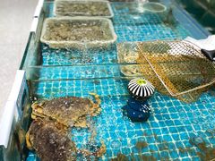 -锦里海景海鲜餐厅.三亚老字号(亚龙湾中心广场店)