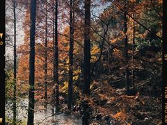 -国家植物园南园