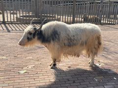 -无锡动物园·太湖欢乐园