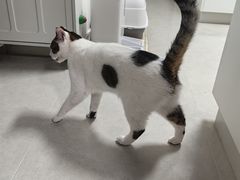 -PETKIT 小佩宠物·低压洗护·美容·寄养(安远店)