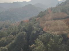 -灵顺寺
