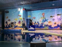 -太平洋海底世界