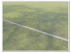 -陕西师范大学(雁塔校区)