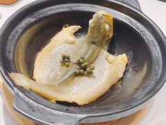 鮮焗舟山黃魚-梧桐Plus·创意京·川料理(万象城店)