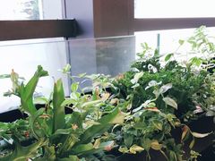 -混果汁(喜荟城店)