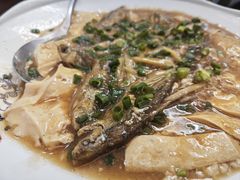 -杨记新泉美食