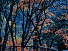 -叠溪松坪沟景区