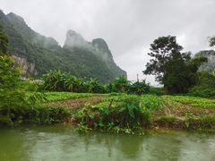 -明仕田园