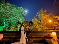 -LAMP BAR 水烟音乐酒吧