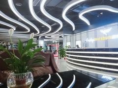 -金吉鸟健身游泳