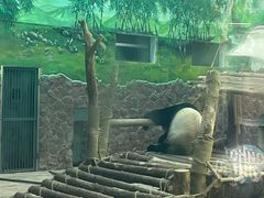 -黔灵山公园