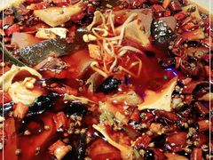 -雲蜀龙阁·金牌水煮鱼(方庄店)