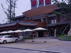 -胖大姐黄辣丁鱼庄(新津店)