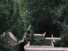 -黔灵山公园