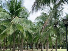 -白沙门生态公园