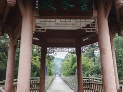 -铁山坪森林公园