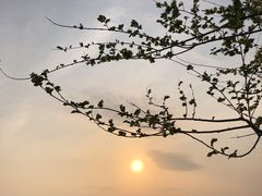 -潭柘厚院&山顶烤肉(潭柘寺店)