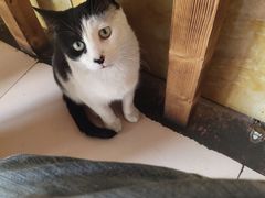 -三点小吃(山大店)