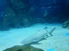 -常州海昌海洋探索馆