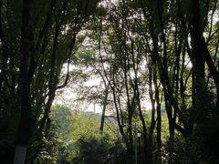 -新洲生态园