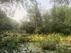 -新江湾城公园