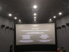 -SFC上影影城(港汇永华IMAX激光店)