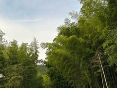 -苏州环秀晓筑养生度假村