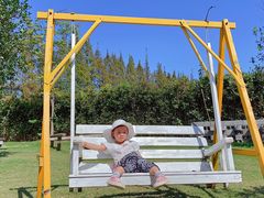 -前小桔亲子创意农场·草莓采摘·露营烧烤