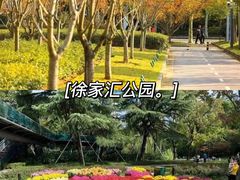 -东平国家森林公园