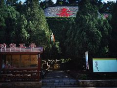 -龙口南山旅游景区