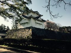 -名古屋城