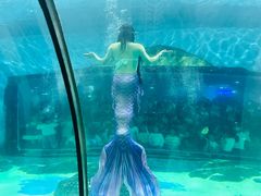 -苏州海洋馆