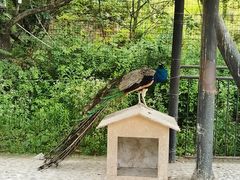 -金钉子远古世界景区