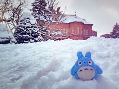 -北海道厅旧本厅舍(旧本庁舎)