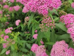 -柳湖沙月沙滩公园