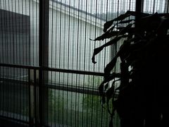 门面-苏州环秀晓筑养生度假村