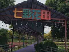 -广东花都香草世界旅游度假区