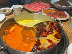 -青瓷火锅料理(西单大悦城店)