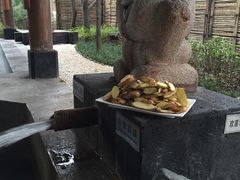 -西安国际创新人才交流中心•药浴温泉
