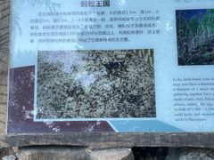 -白草畔自然风景区