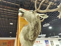 -北京鹿世界主题园