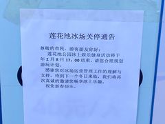 -莲花池公园