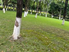 -重庆中央公园(渝北区)