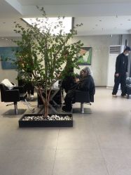 -付军剪艺JF ProSalon