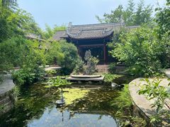 -棠湖公园