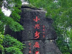 -汤旺河林海奇石景区