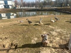 -西安浐灞国家湿地公园