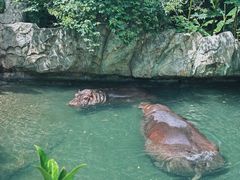 -宁波野生动物园