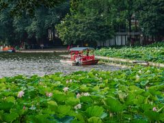 -荔湾湖公园