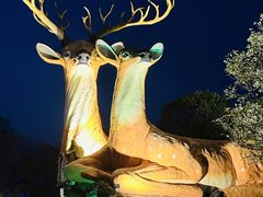 -南京银杏湖乐园